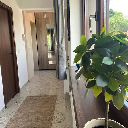 Natura Center Appartement *