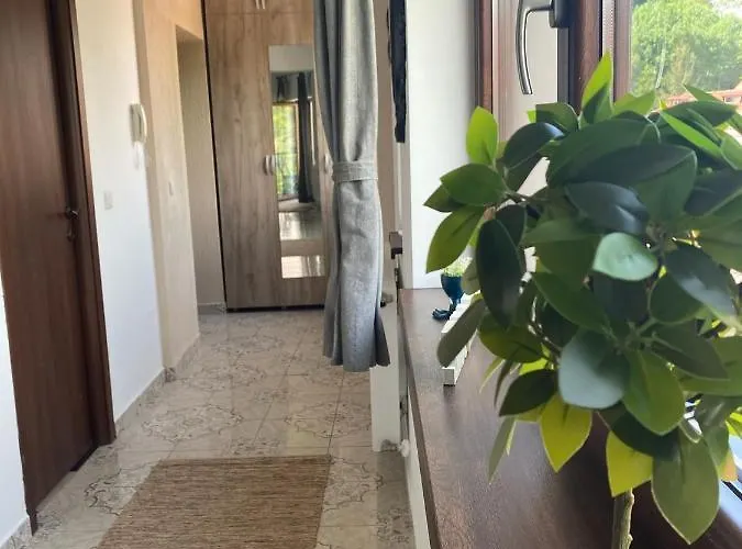 Natura Center Apartment *