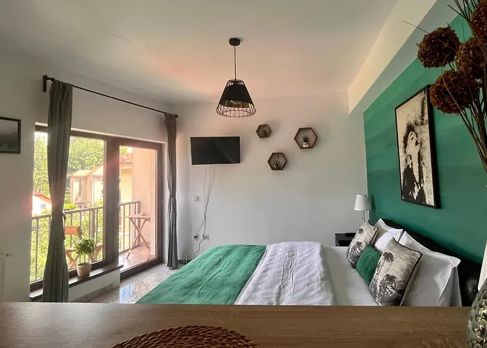 Natura Center Apartment Brasov