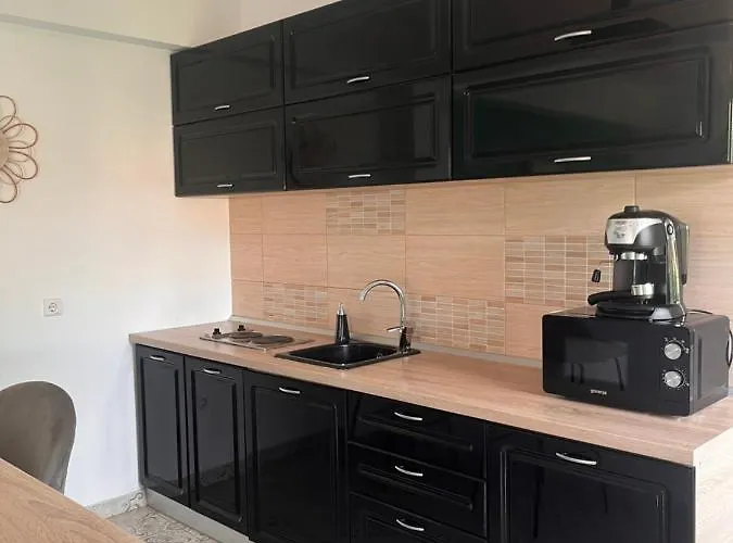 Natura Center Apartment Brasov